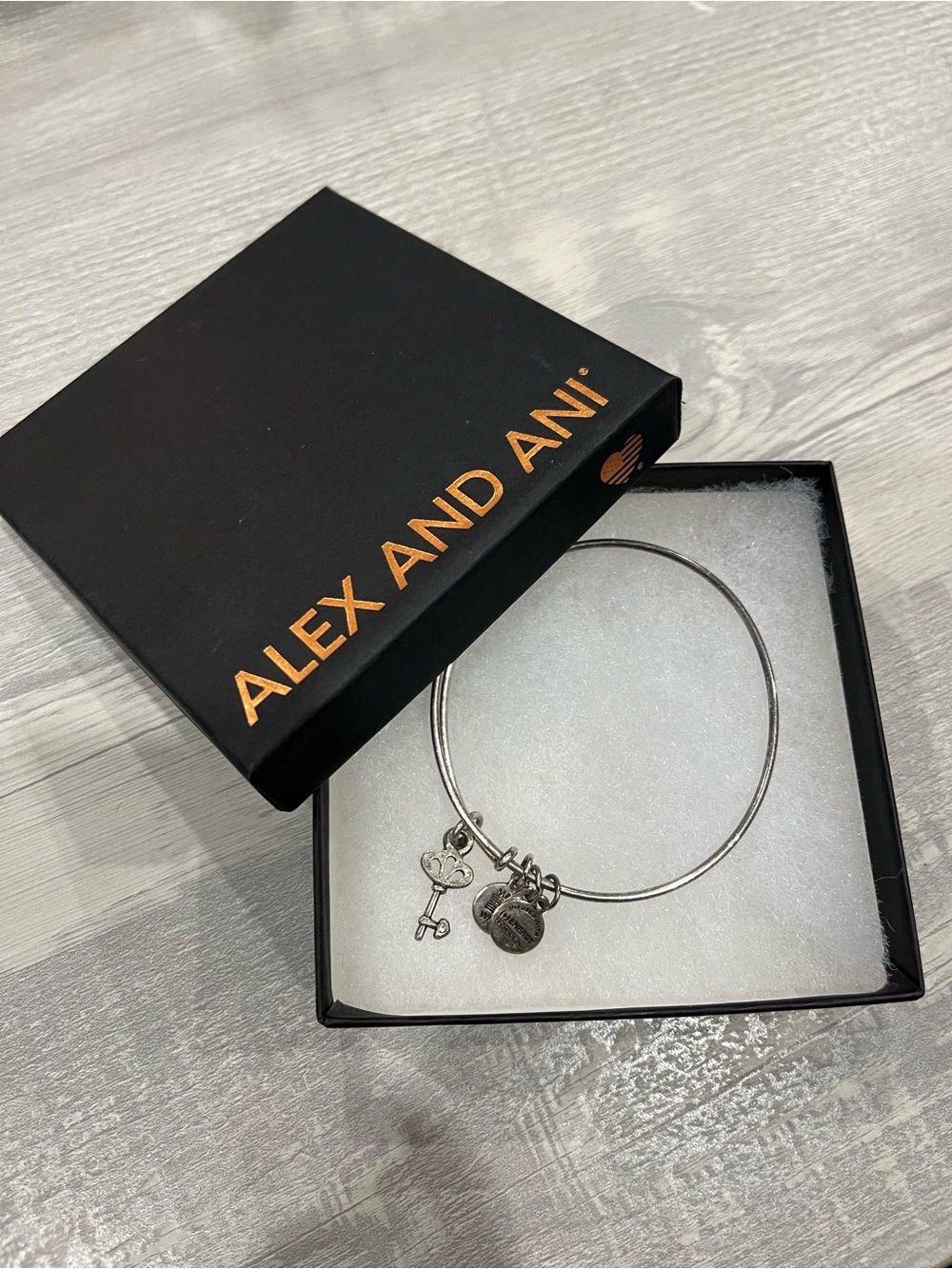 IN BOX Alex and Ani Crystal Skeleton Key Charm Bangle in Silver Brass Tone